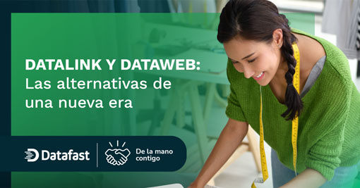 Datalink y Dataweb: las alternativas de una nueva era